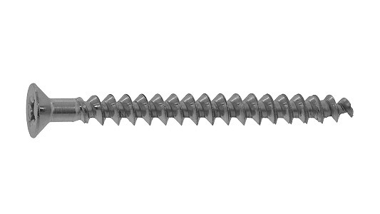 アリンコ（皿