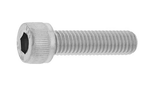 Ａ２－１００　ステンＣＡＰ