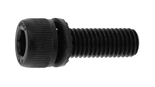 １０．９　ＧＴ－Ｓ　ＣＡＰ