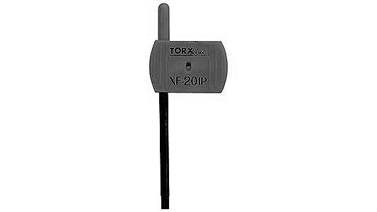ＴＯＲＸプラスフラッグＸＦ－ＩＰ