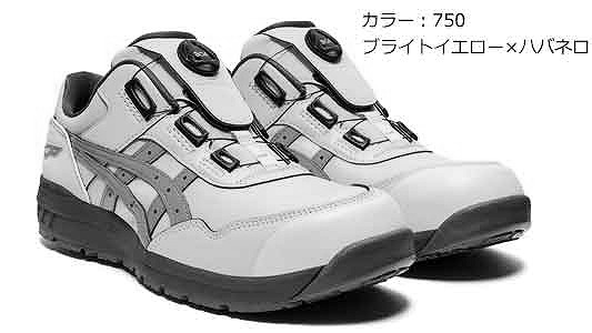 ＣＰ３０６ＢＯＡ（７５０