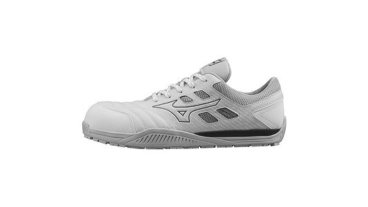 Ｆ１ＧＡ２３０００１