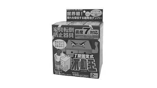 Ｔ固定式不動王　ＦＦＴ－００９