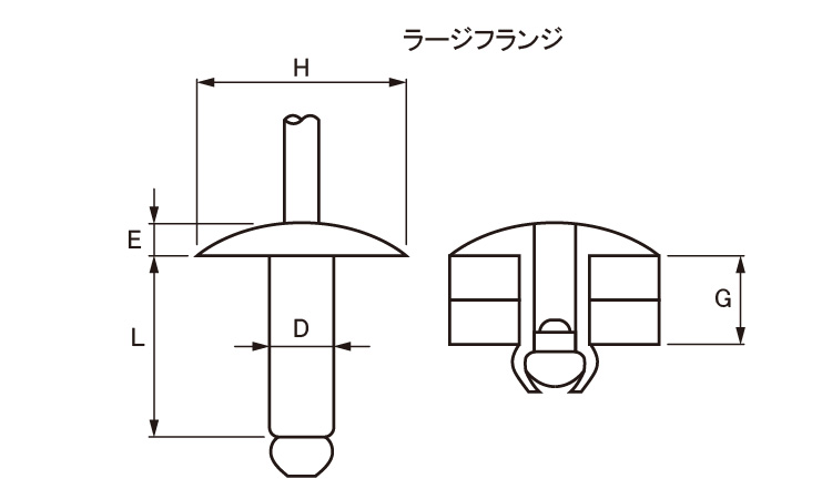 Ｂ．Ｒ．ＴＩＷ（ラージＦ（ＡＳ図面