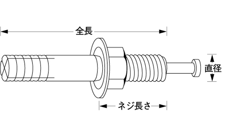 タイトアンカー図面